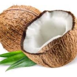 Fragrance Oil- Coconut