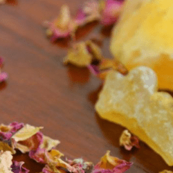 Fragrance Oil- Amber Musk & Rose