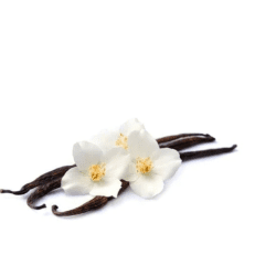 Vanilla fragrance oil