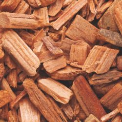 Fragrance Oil- Cedar wood